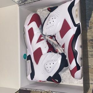 Jordan Carmine 6s 10.5